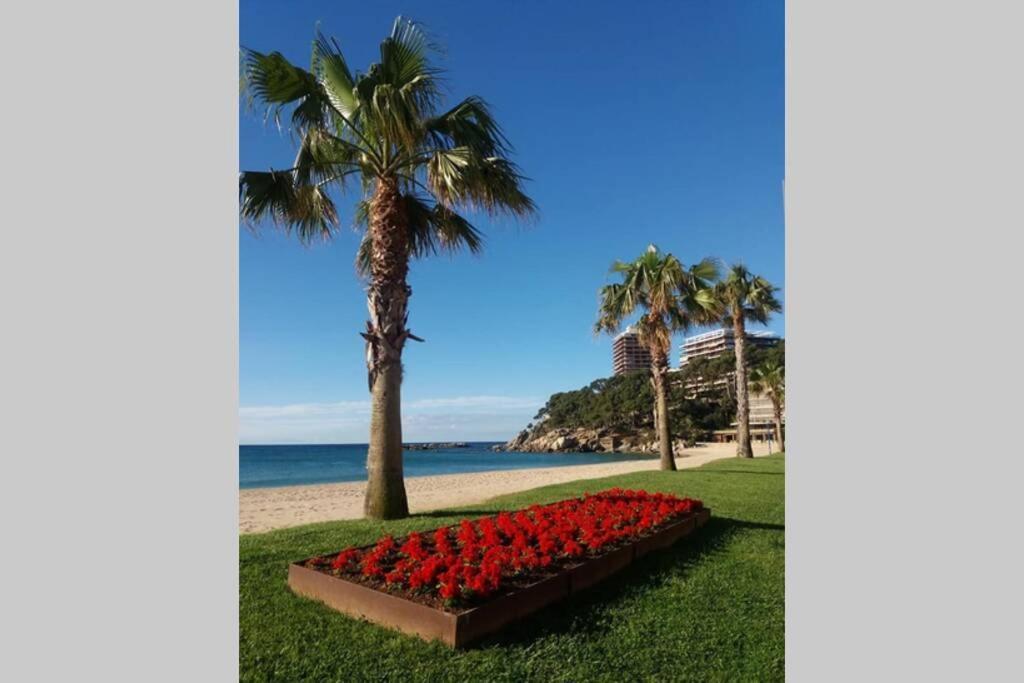 Costa Brava-St Antoni De Calonge Apartament Per Parelles I Families Petites מראה חיצוני תמונה